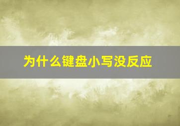 为什么键盘小写没反应