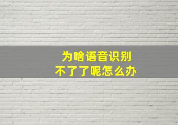 为啥语音识别不了了呢怎么办