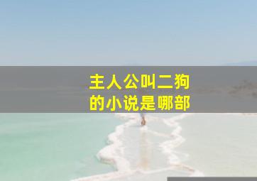 主人公叫二狗的小说是哪部