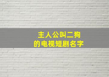 主人公叫二狗的电视短剧名字