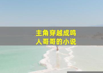 主角穿越成鸣人哥哥的小说