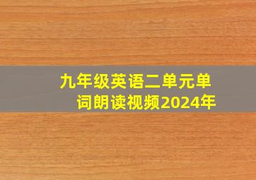 九年级英语二单元单词朗读视频2024年