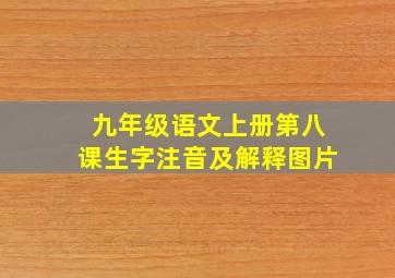 九年级语文上册第八课生字注音及解释图片