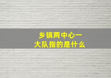 乡镇两中心一大队指的是什么