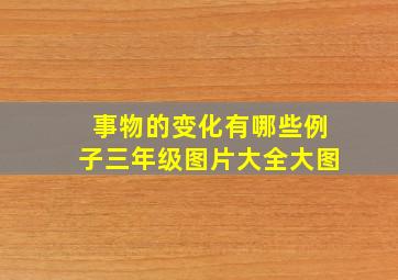 事物的变化有哪些例子三年级图片大全大图