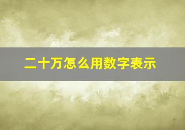 二十万怎么用数字表示