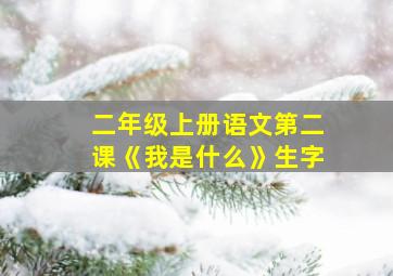 二年级上册语文第二课《我是什么》生字