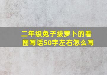 二年级兔子拔萝卜的看图写话50字左右怎么写