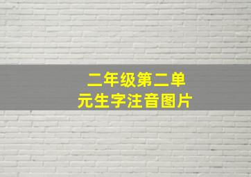 二年级第二单元生字注音图片