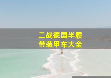 二战德国半履带装甲车大全