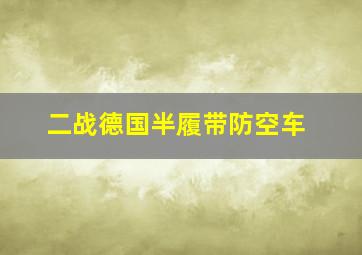 二战德国半履带防空车