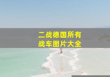 二战德国所有战车图片大全