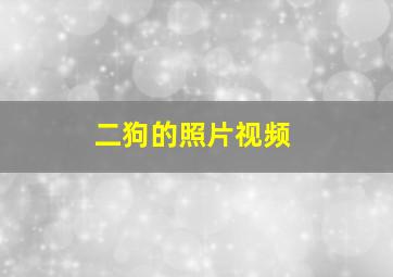 二狗的照片视频