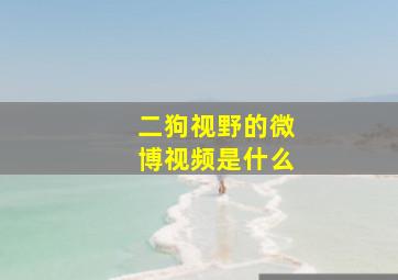 二狗视野的微博视频是什么