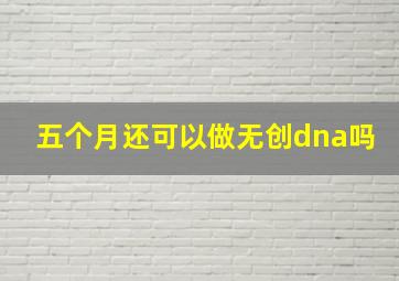 五个月还可以做无创dna吗