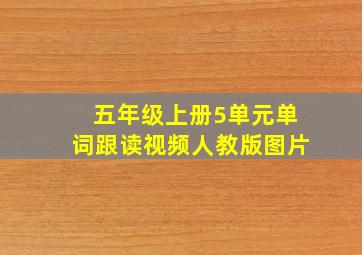 五年级上册5单元单词跟读视频人教版图片