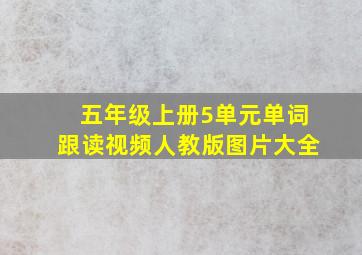 五年级上册5单元单词跟读视频人教版图片大全