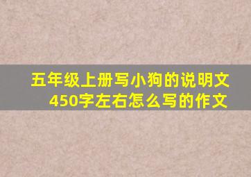 五年级上册写小狗的说明文450字左右怎么写的作文