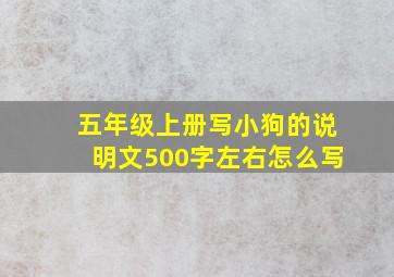 五年级上册写小狗的说明文500字左右怎么写