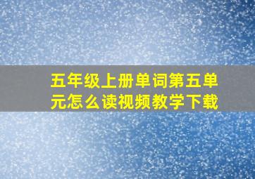 五年级上册单词第五单元怎么读视频教学下载