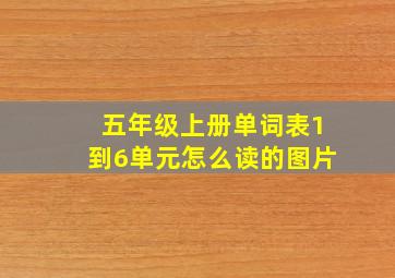 五年级上册单词表1到6单元怎么读的图片