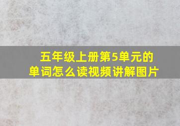 五年级上册第5单元的单词怎么读视频讲解图片