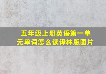 五年级上册英语第一单元单词怎么读译林版图片