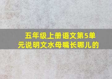 五年级上册语文第5单元说明文水母嘴长哪儿的