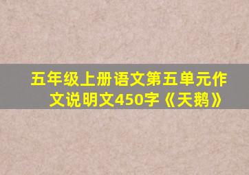 五年级上册语文第五单元作文说明文450字《天鹅》