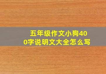 五年级作文小狗400字说明文大全怎么写