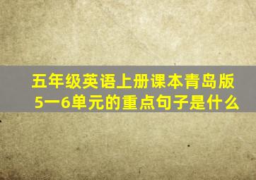 五年级英语上册课本青岛版5一6单元的重点句子是什么