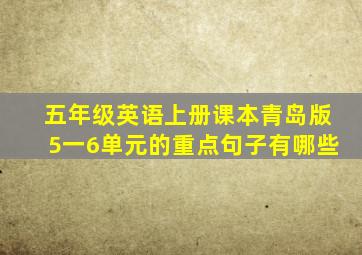 五年级英语上册课本青岛版5一6单元的重点句子有哪些