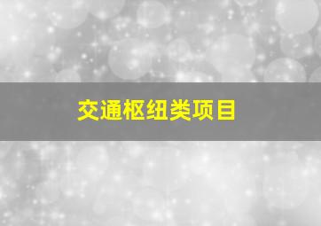 交通枢纽类项目