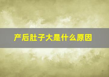 产后肚子大是什么原因