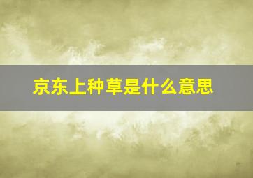 京东上种草是什么意思