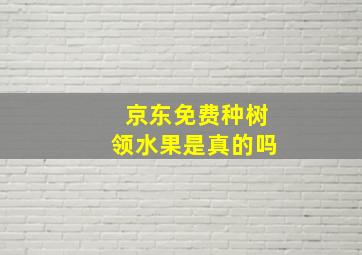 京东免费种树领水果是真的吗