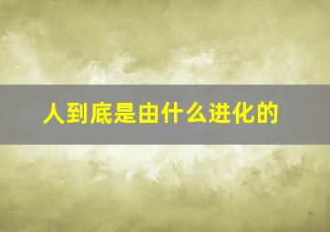 人到底是由什么进化的