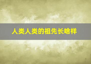 人类人类的祖先长啥样