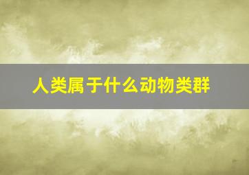 人类属于什么动物类群