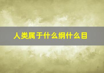 人类属于什么纲什么目