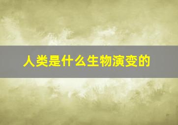 人类是什么生物演变的