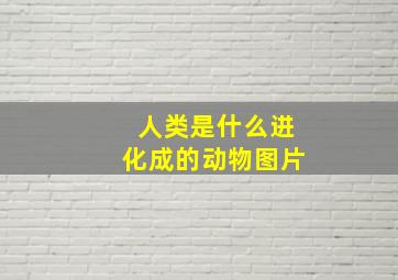 人类是什么进化成的动物图片