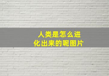 人类是怎么进化出来的呢图片