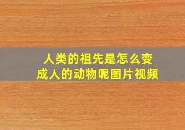 人类的祖先是怎么变成人的动物呢图片视频