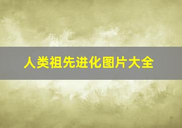 人类祖先进化图片大全