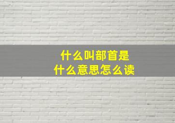 什么叫部首是什么意思怎么读