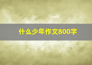 什么少年作文800字