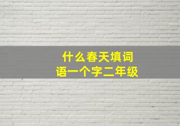 什么春天填词语一个字二年级