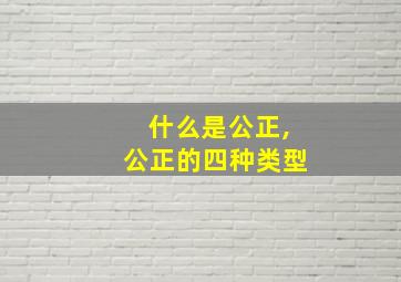 什么是公正,公正的四种类型