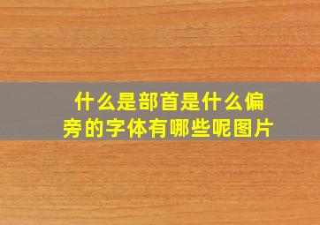 什么是部首是什么偏旁的字体有哪些呢图片